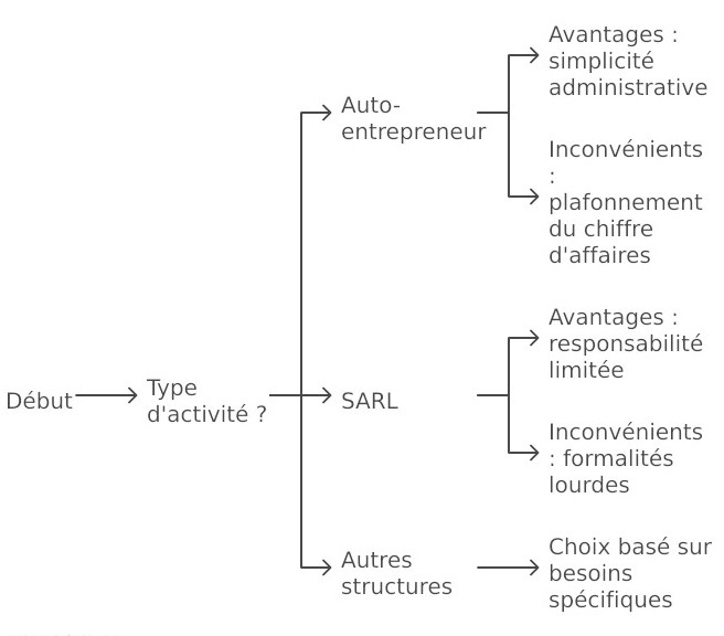 choix d' structure d'entreprise
